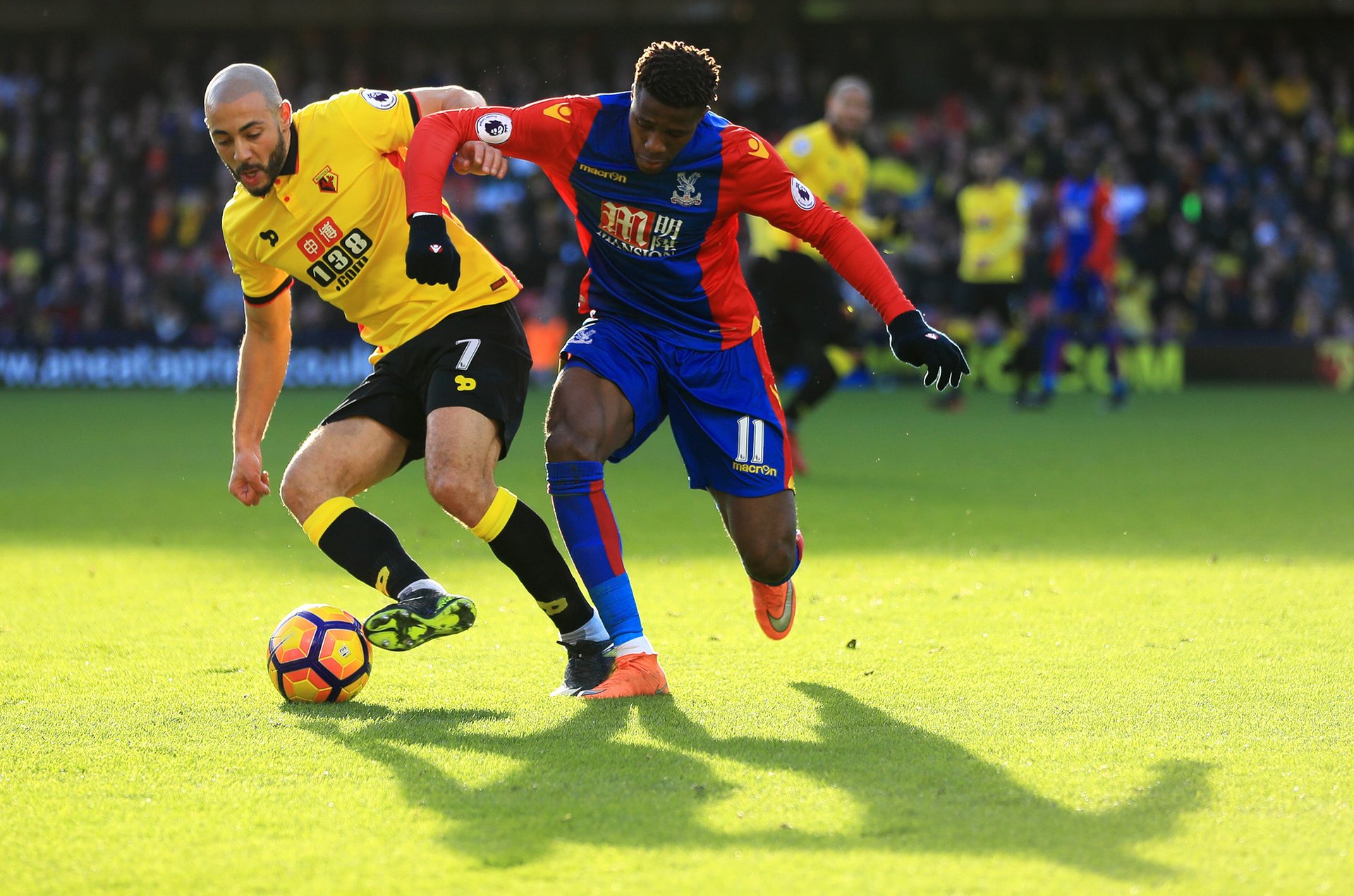 业生涯的球 业生涯的球